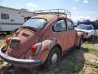 Thumbnail Photo 1 for 1969 Volkswagen Beetle